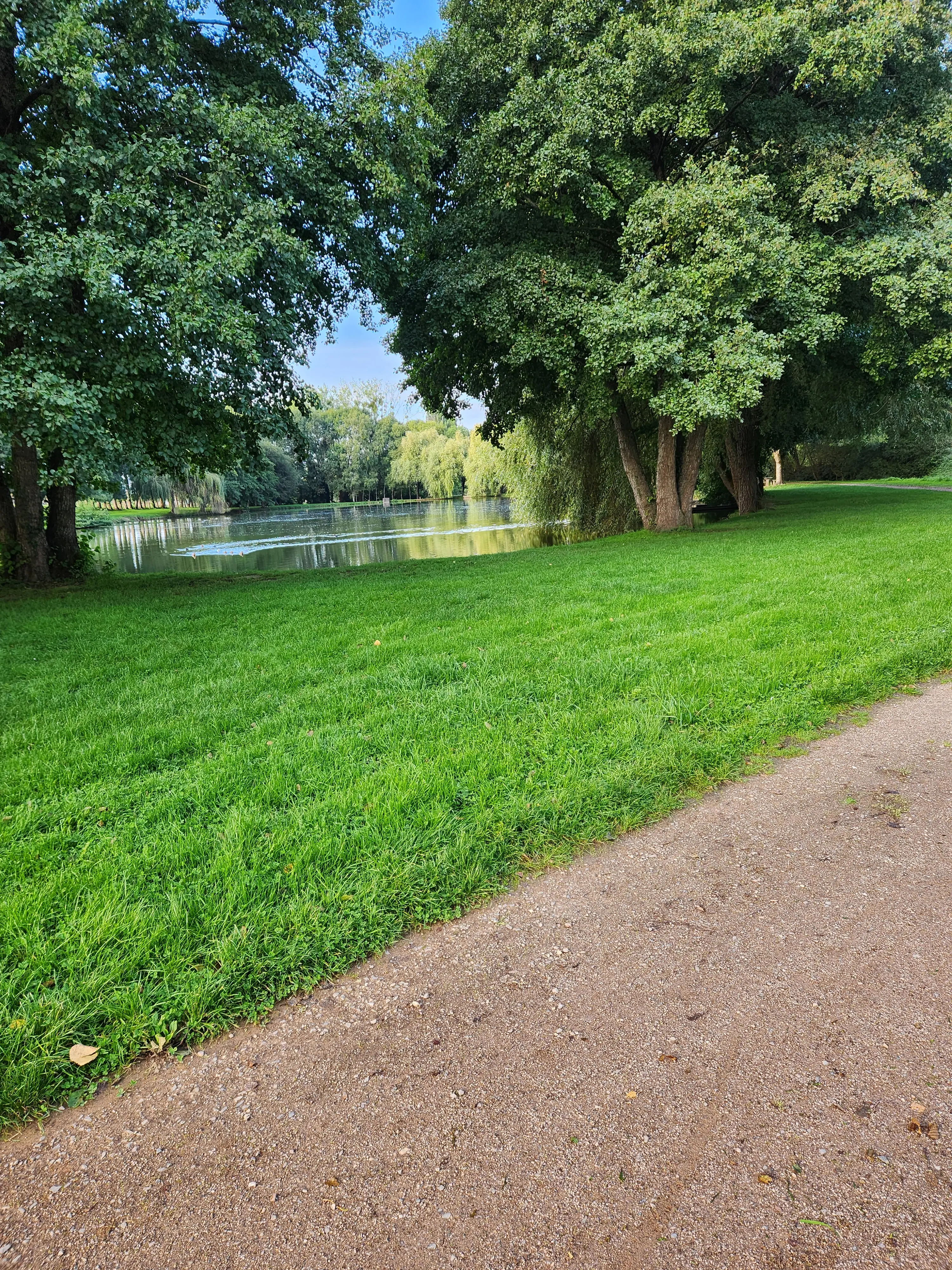 Design d'arrière plan